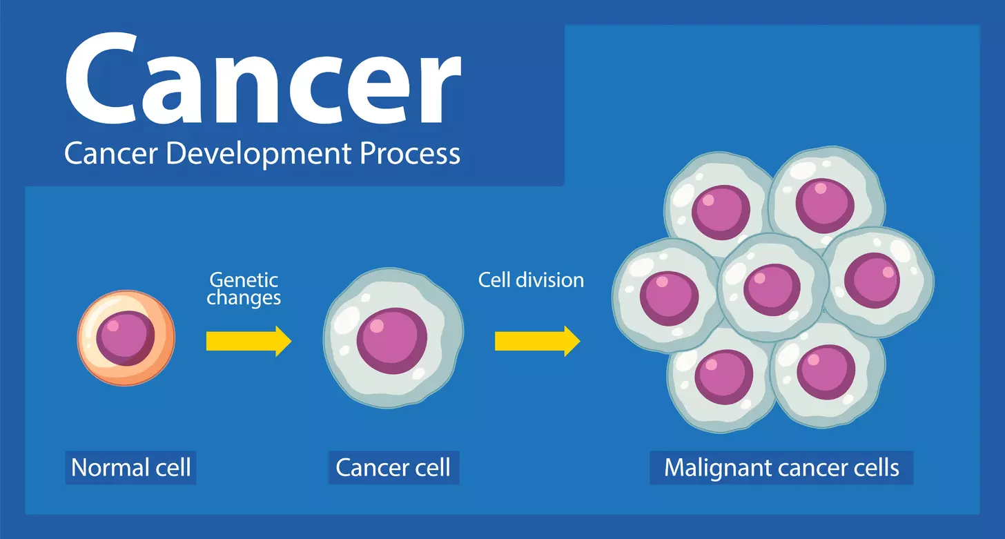 distinguish between malignant and benign tumors