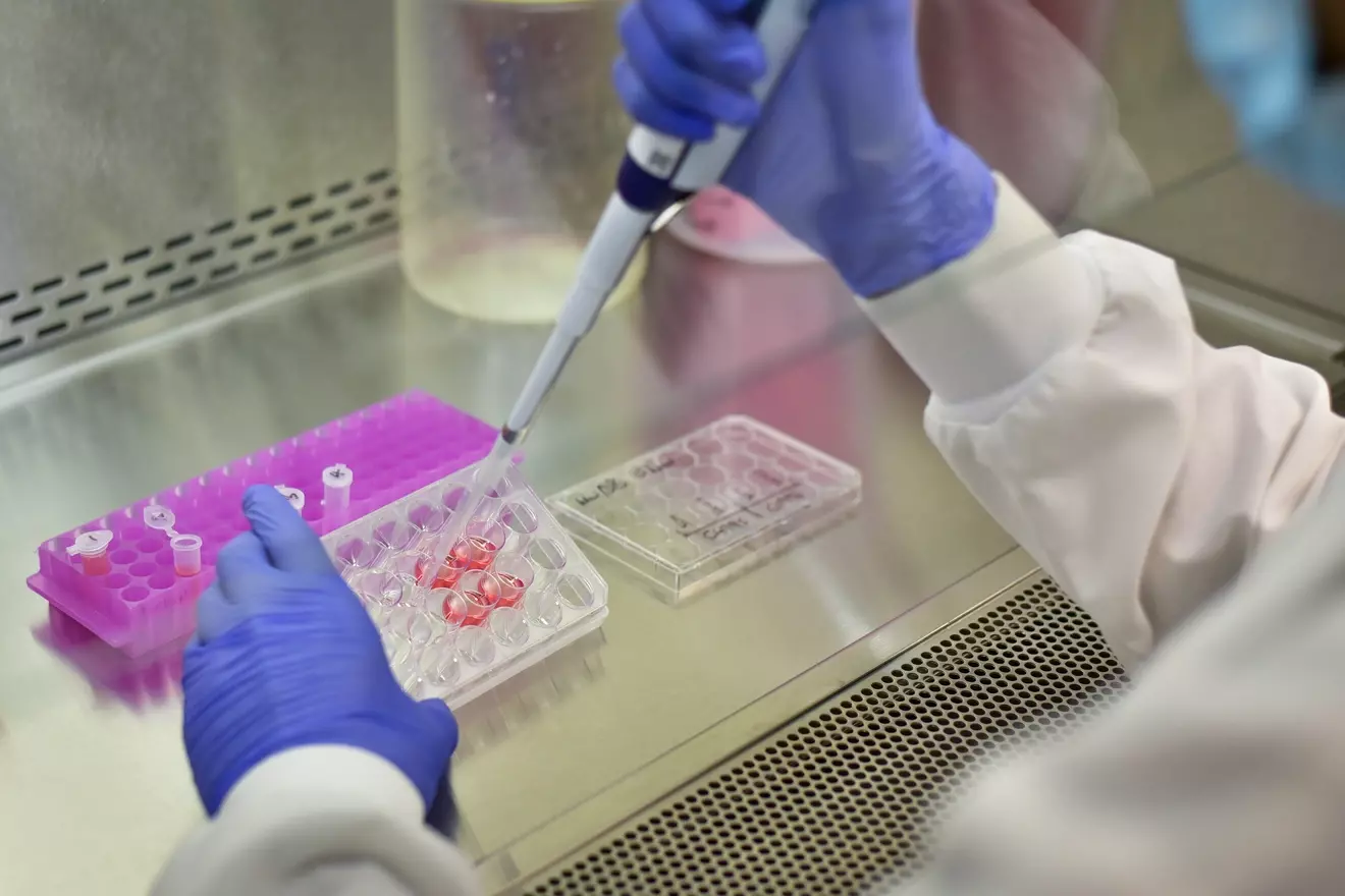 do t cells produce antibodies