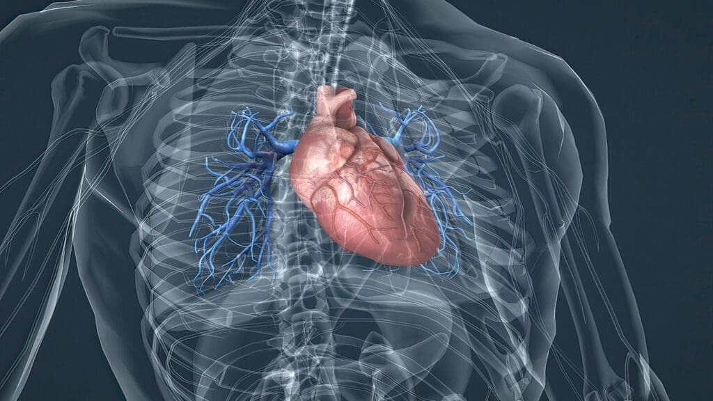 ectatic ascending thoracic aorta ectatic ascending thoracic aorta