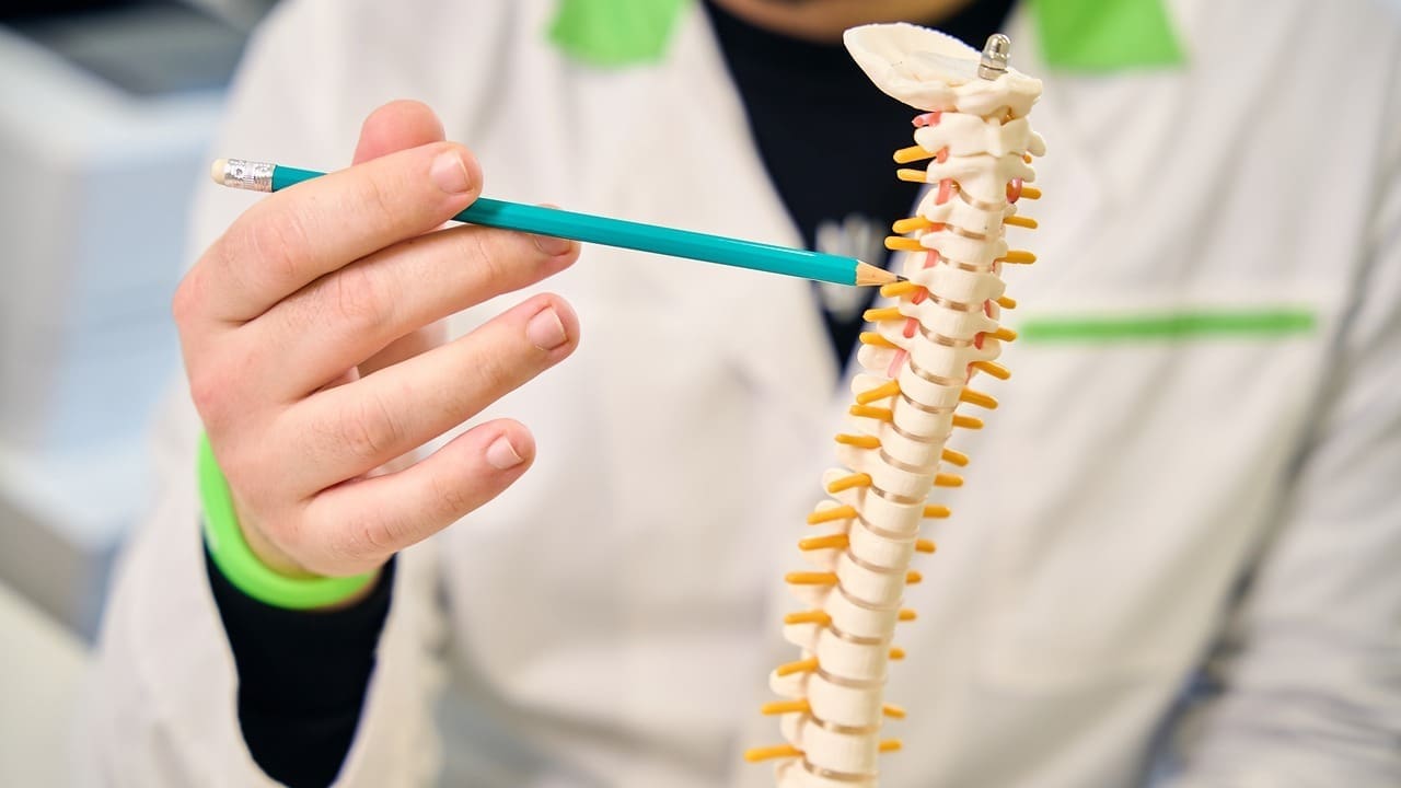 fusion of lumbar spine