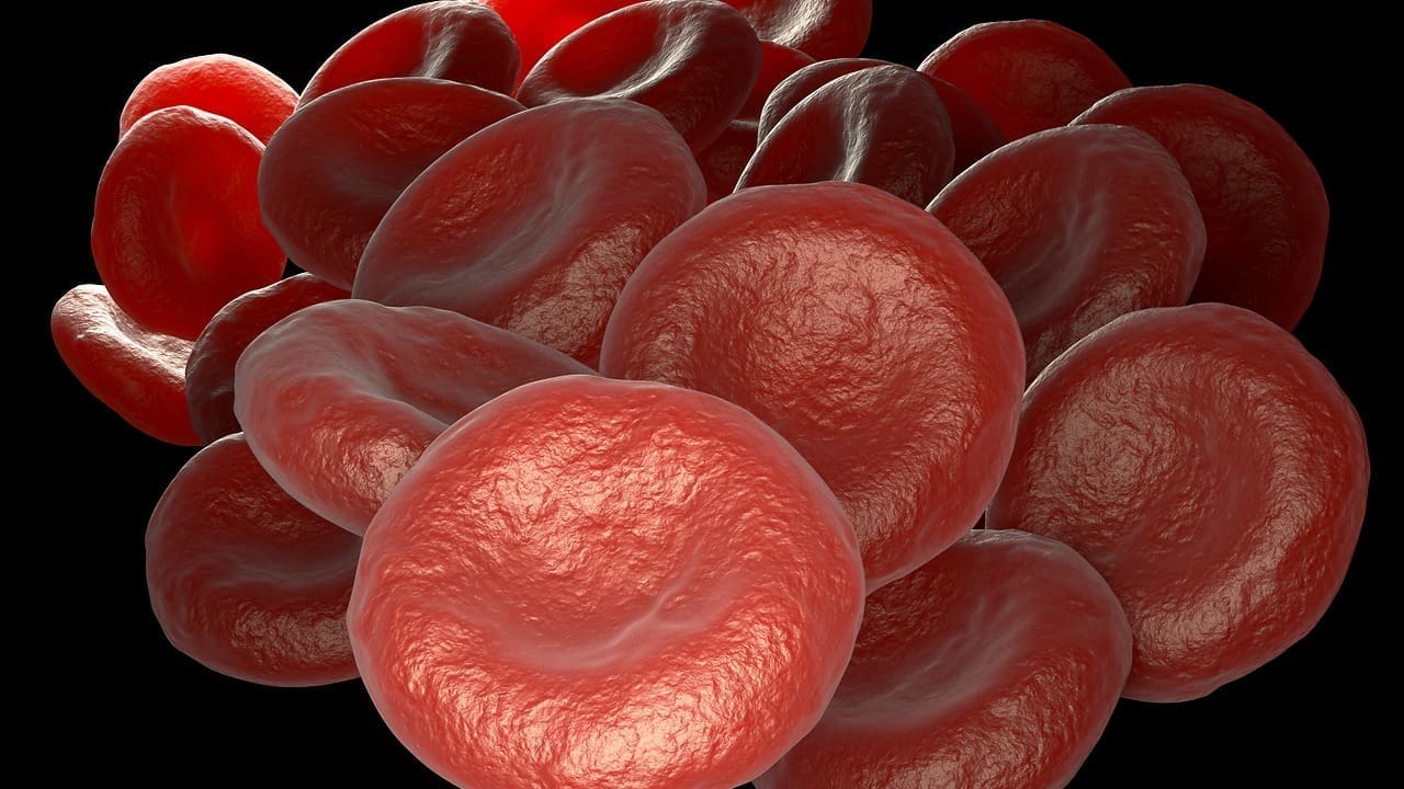 heart attack blood markers