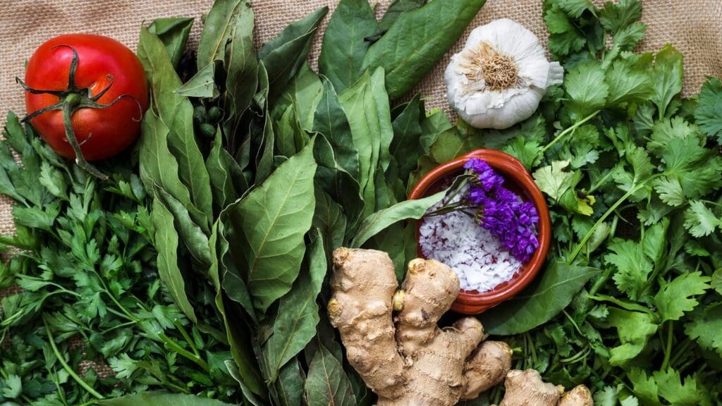 herbs in nature herbs in nature