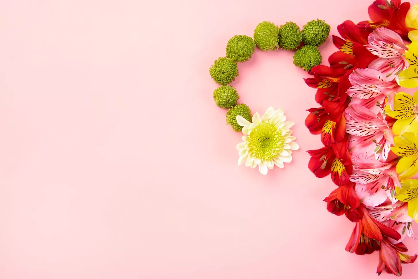 holistic treatment for cervical cancer