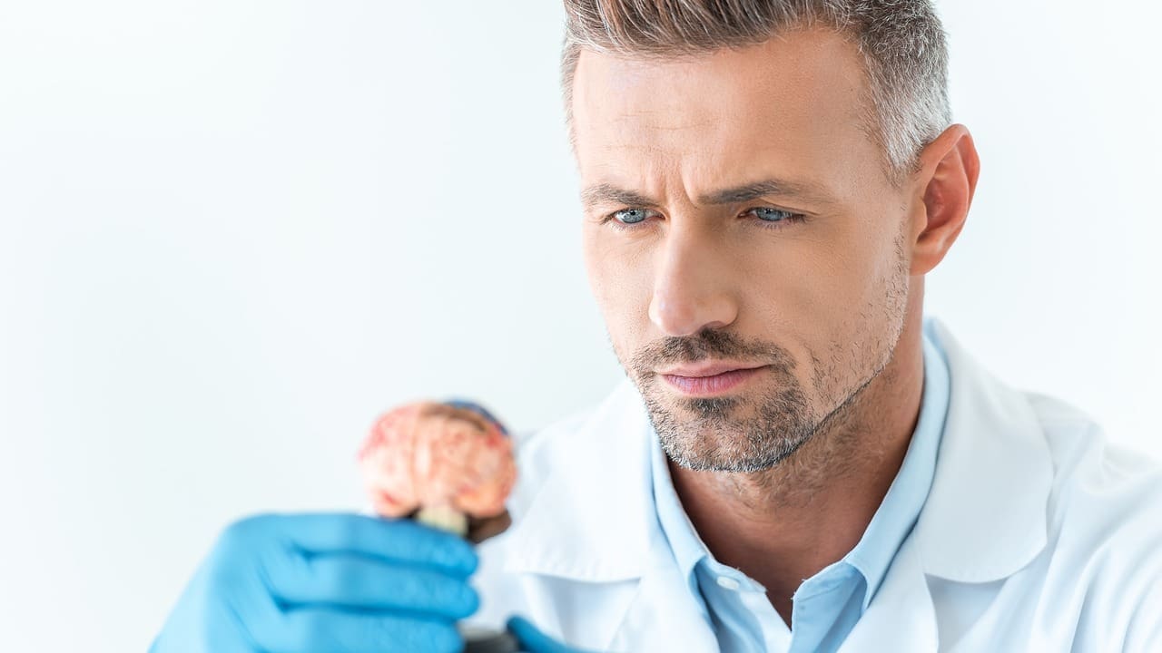 how common are brain cysts