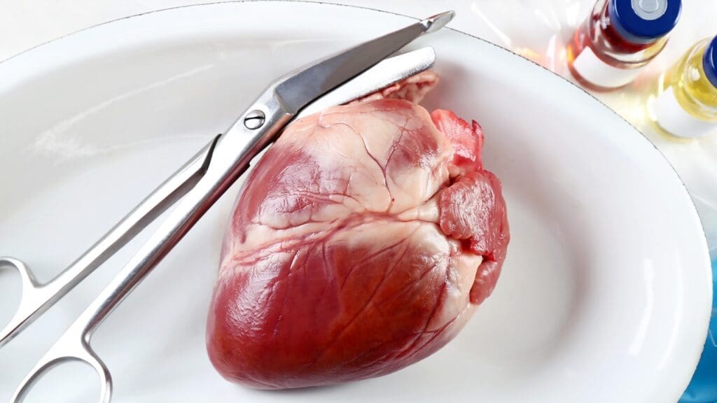 How Many Hours and Days a Week Do Surgeons Work?