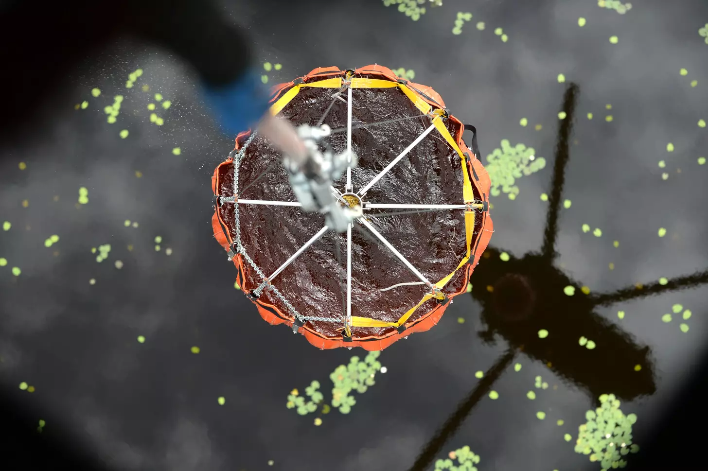 human cell regeneration