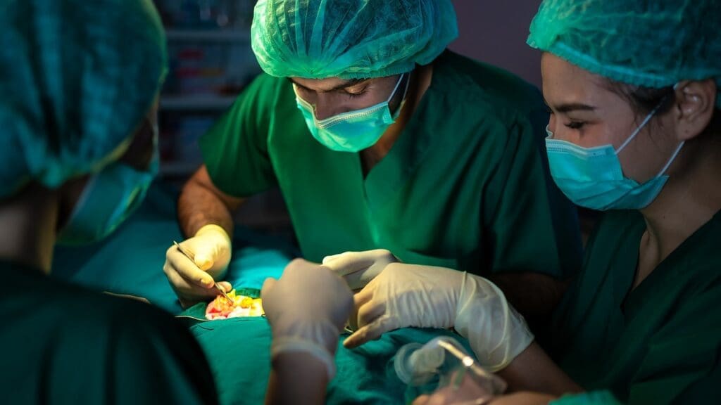 hydrocephalus shunt procedure