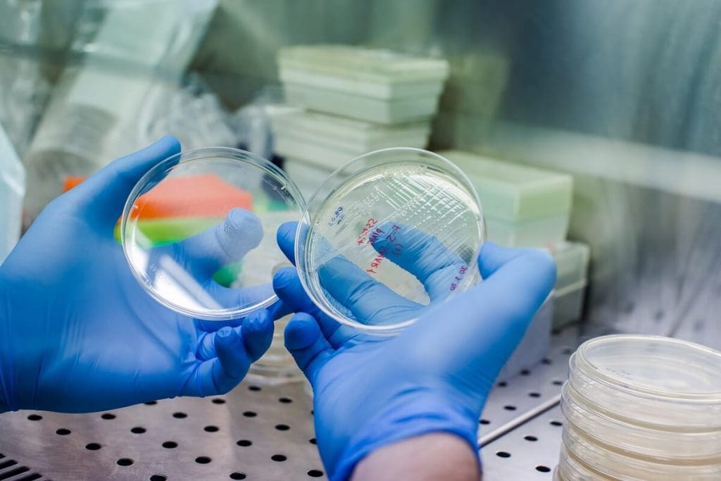 What Is CAR T Cell Therapy Age Limit?