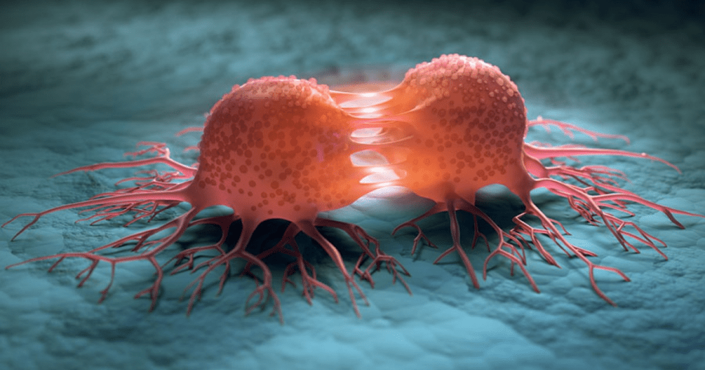 Life After Care: Will Life Ever Be Normal? what to expect after last chemo treatment