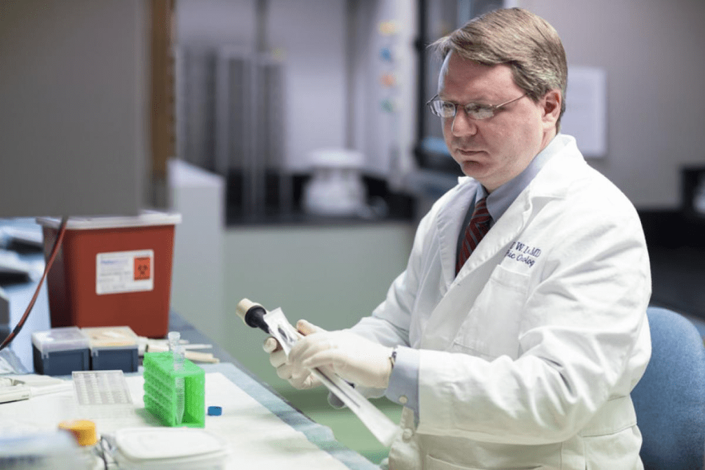 Can Stem Cell Transplant Cure Blood Cancer? stem cell therapy