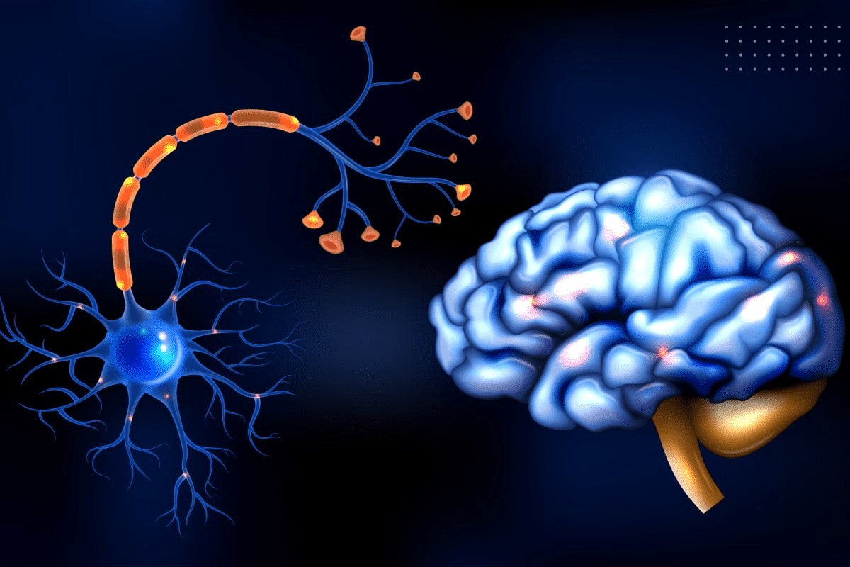 Hypotonic Bladder: Nervous System Control