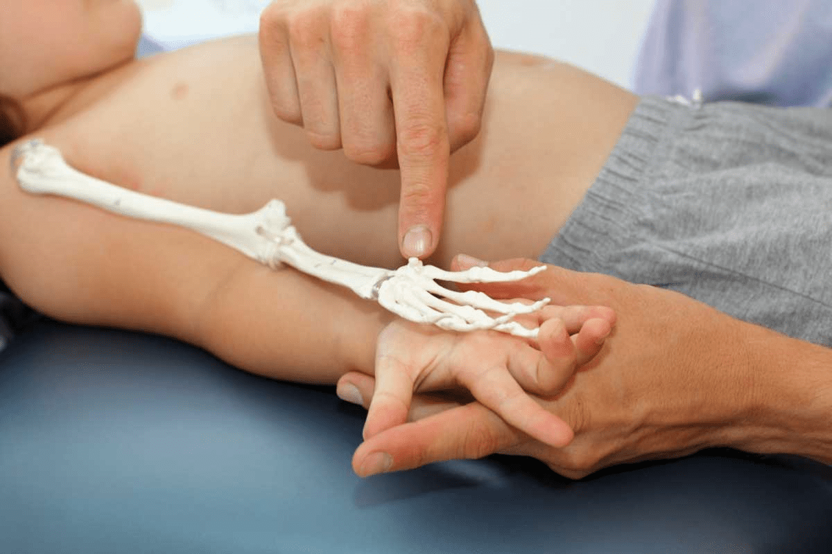 Transplant of Bone Marrow: How It’s Done Explained