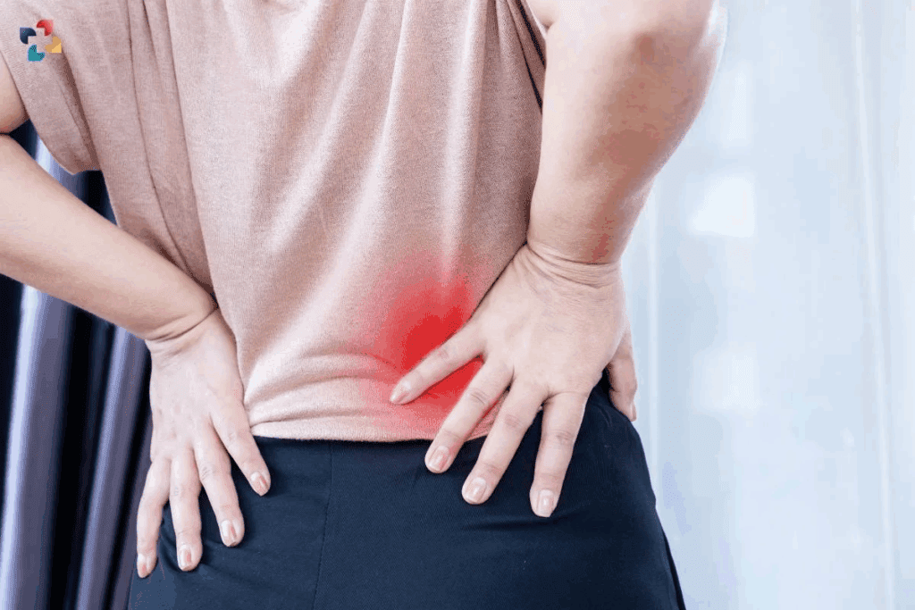 Disc Degeneration Causes Explained 1 Disc Degeneration Causes Explained