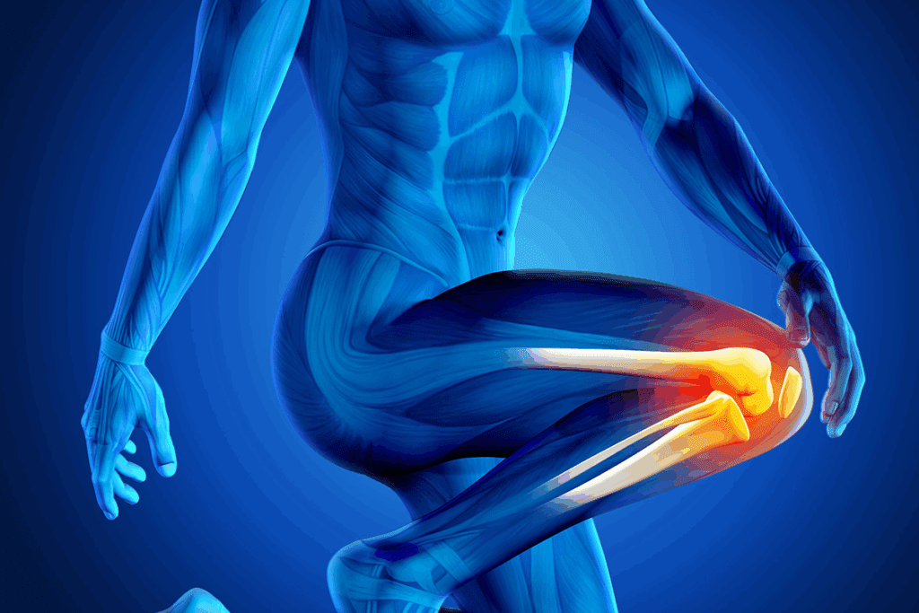 Saddle Joint Explained