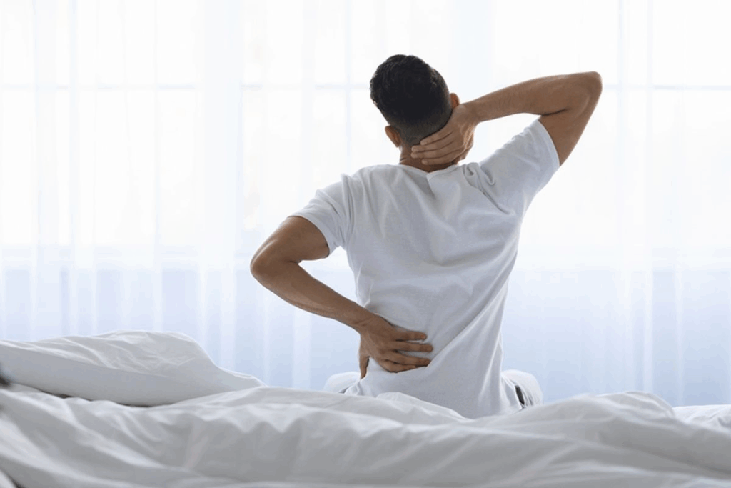 Back Pain Apparatus: 8 Best Devices for Fast Relief