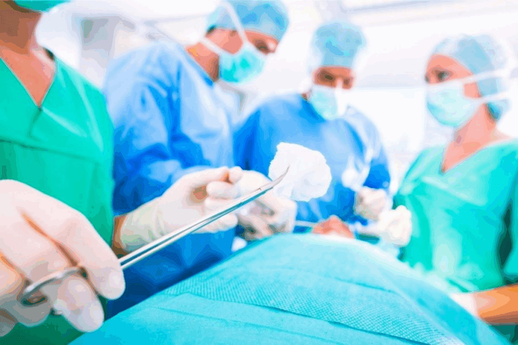 What Is Embolectomy? Procedure and Key Facts 1 image 14190 LIV Hospital