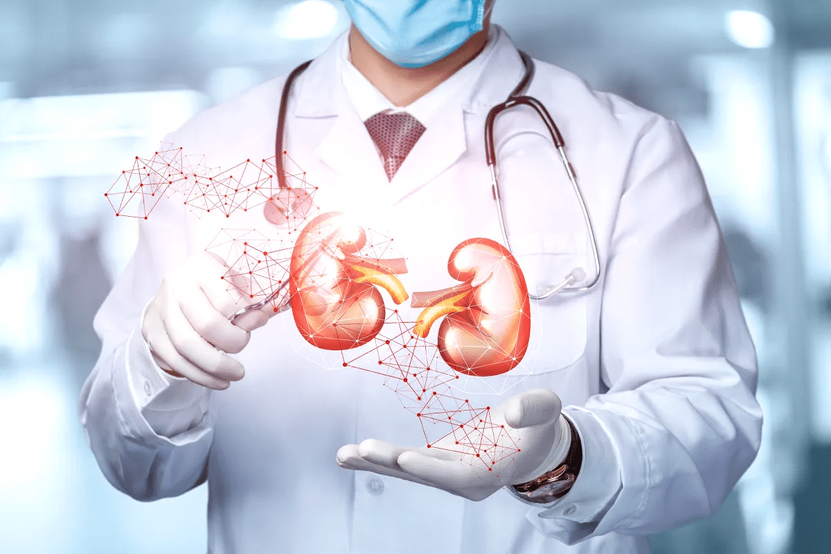 Top 8 kidney ablation Facts: Procedure, Success Rate & Side Effects