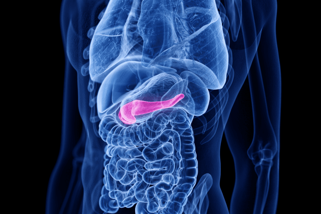 Bladder Cancer Side Effects: Undetected Time