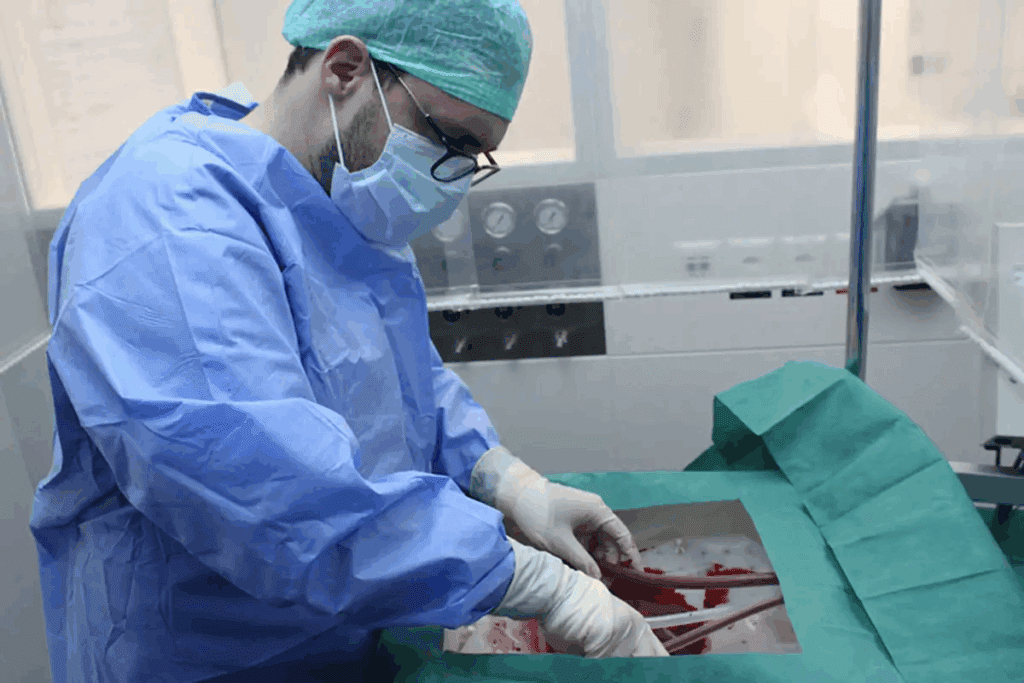 EVAR Stent Procedure: Abdominal Aortic Aneurysm