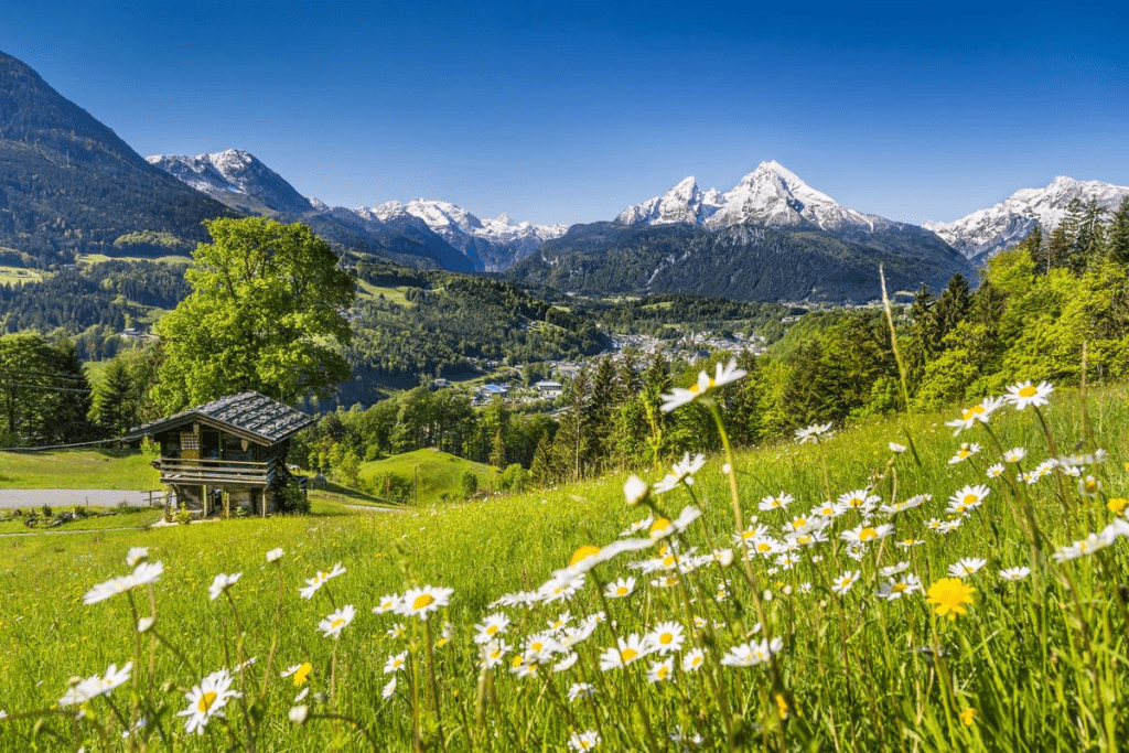 Over Survival: Positive Non-Life Threatening Cancers 3 Over Survival: Positive Non-Life Threatening Cancers