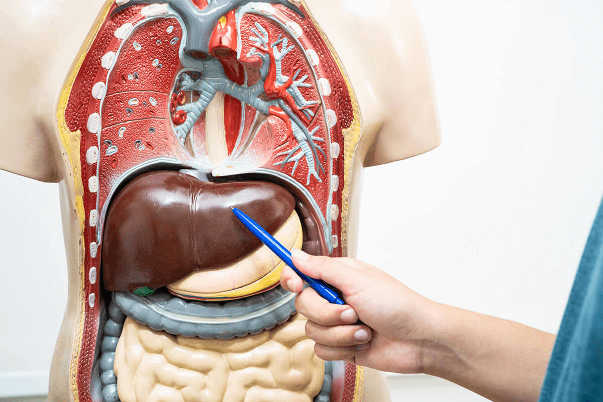 Liver Drainage Bag: 10 Essential Safety Facts