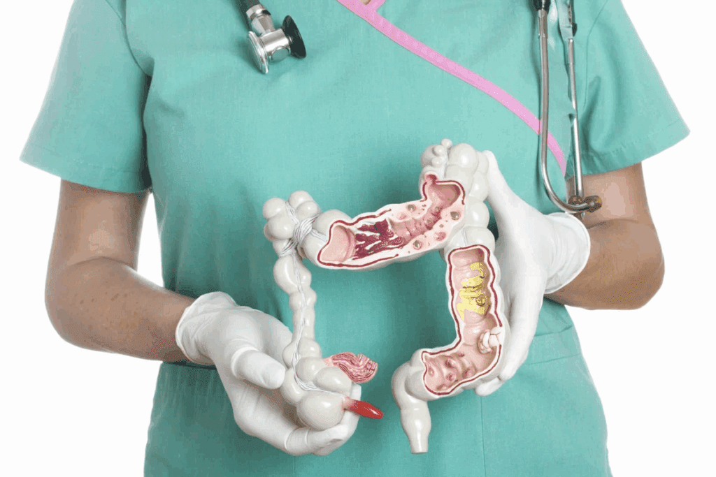 How Long Is the Sigmoid Colon? Key Facts