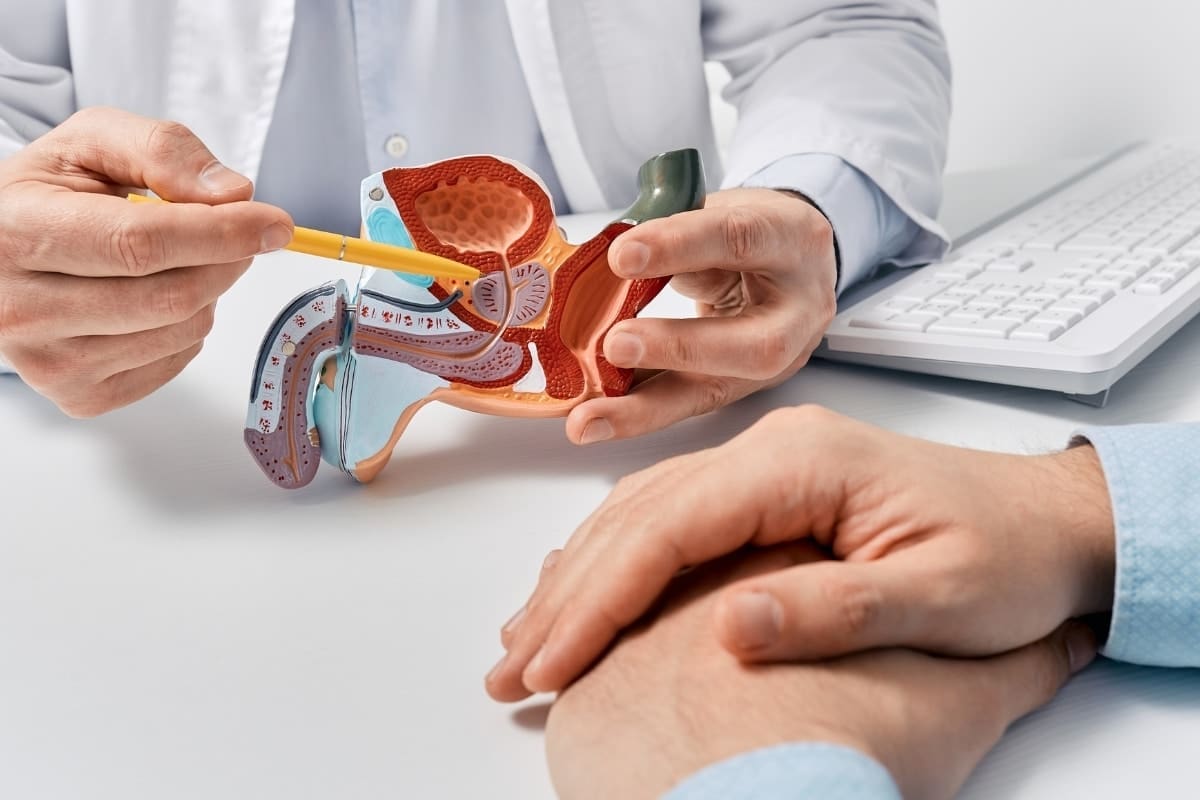 TURP (TERF): How Much Prostate Is Removed