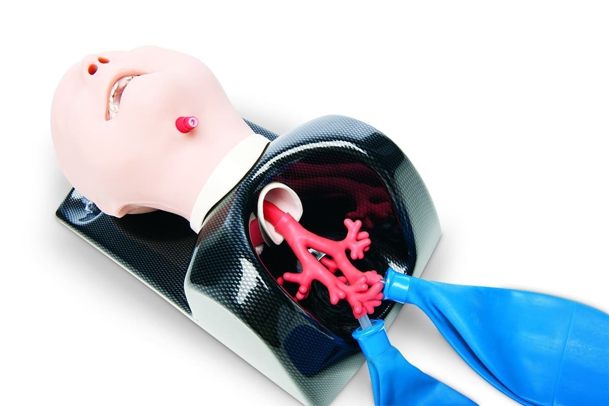 Stertor: A Shocking Sign of Upper Airway Blockage