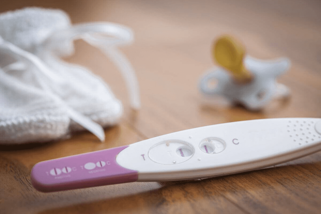 How Does a Pregnancy Test (Urine Test) Work?