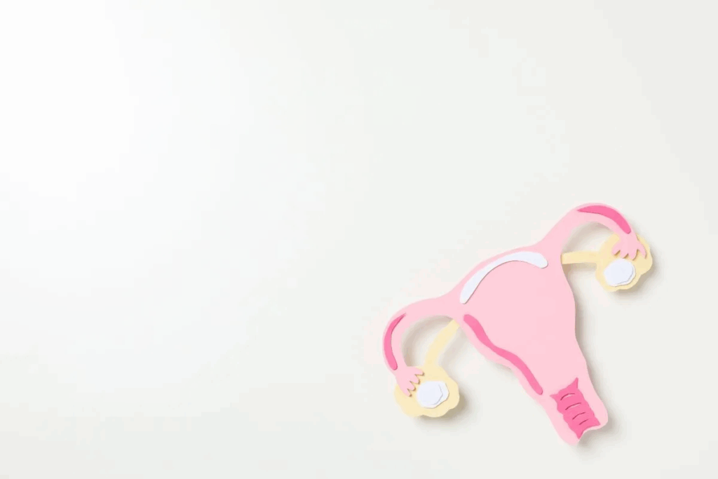 Fibroid procedure: 7 Powerful Options for Relief 1 Fibroid procedure: 7 Powerful Options for Relief