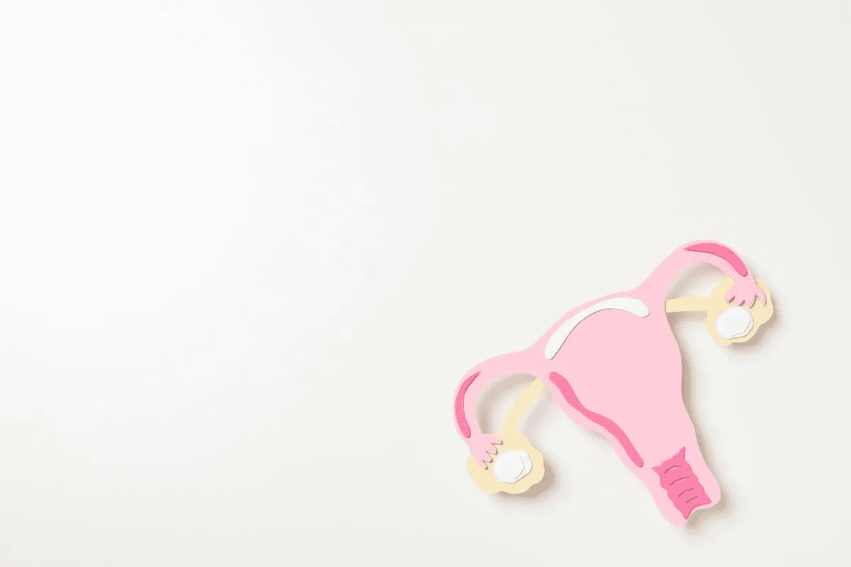 Fibroid procedure: 7 Powerful Options for Relief