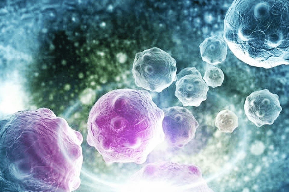 What Can Pee Test Detect? Cancers Found in Urine