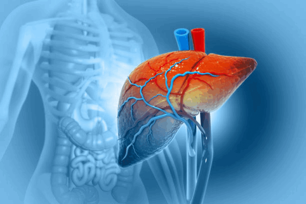 Biliary Tube: Color & Signs of Drainage
