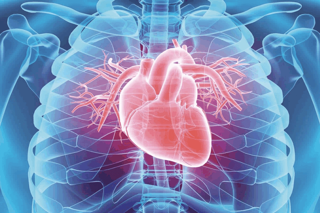Biggest Artery in the Body: 5 Key Facts 2 Biggest Artery in the Body: 5 Key Facts