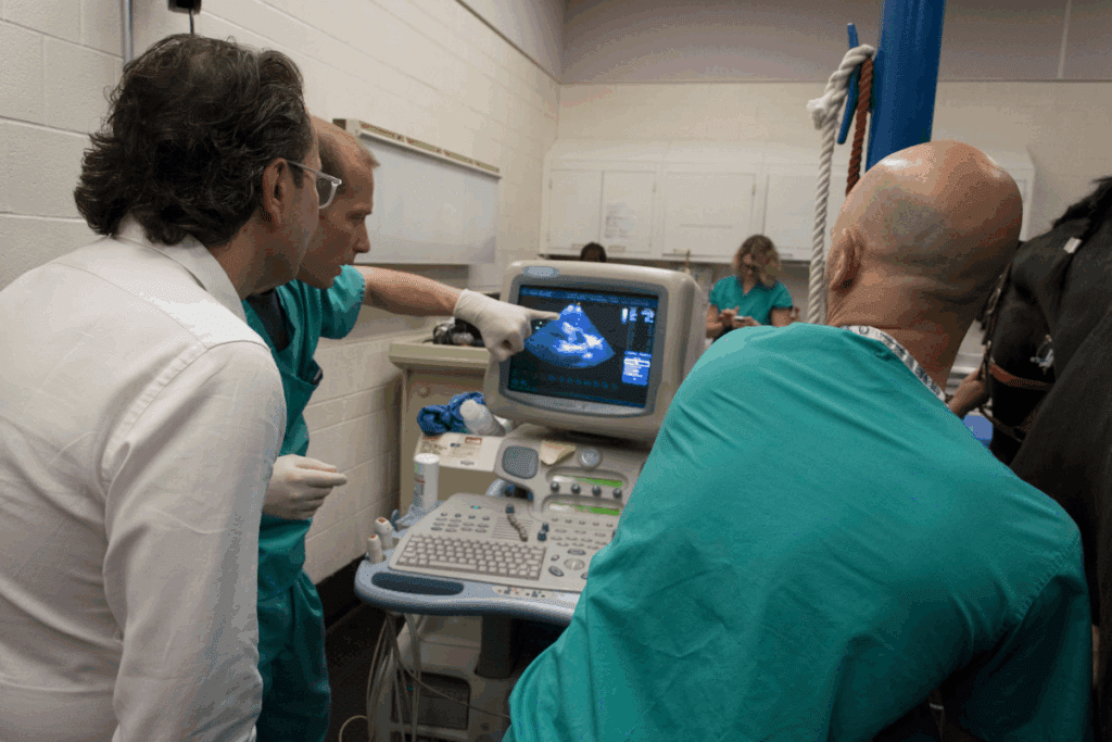 Atrial Flutter Medication: 12 Key Treatments