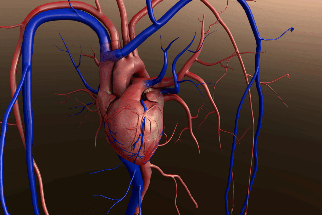 The Blood Vessel That Carries Blood to the Heart 1 The Blood Vessel That Carries Blood to the Heart