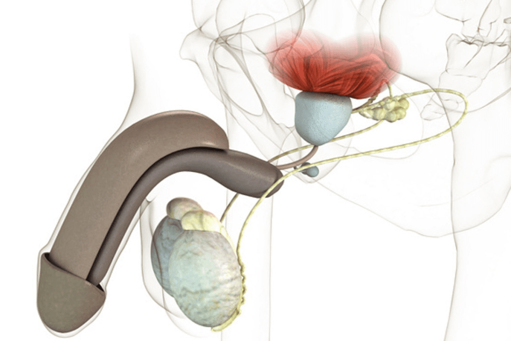 Essential Guide: How to Drain the Prostate Gland? prostate massage