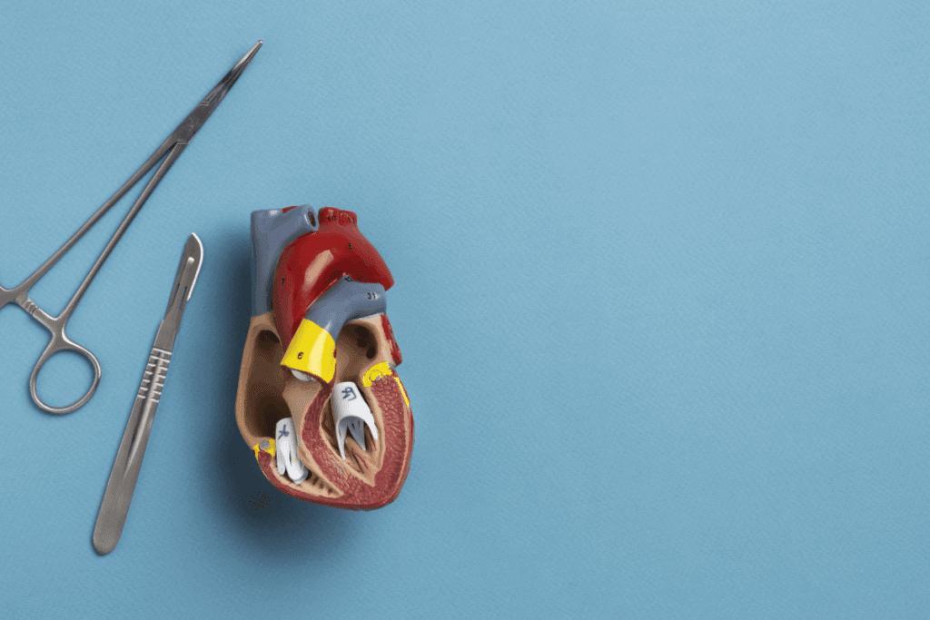 Top 3 Facts About the Difference Between Triple Bypass and Open Heart Surgery 3 Top 3 Facts About the Difference Between Triple Bypass and Open Heart Surgery