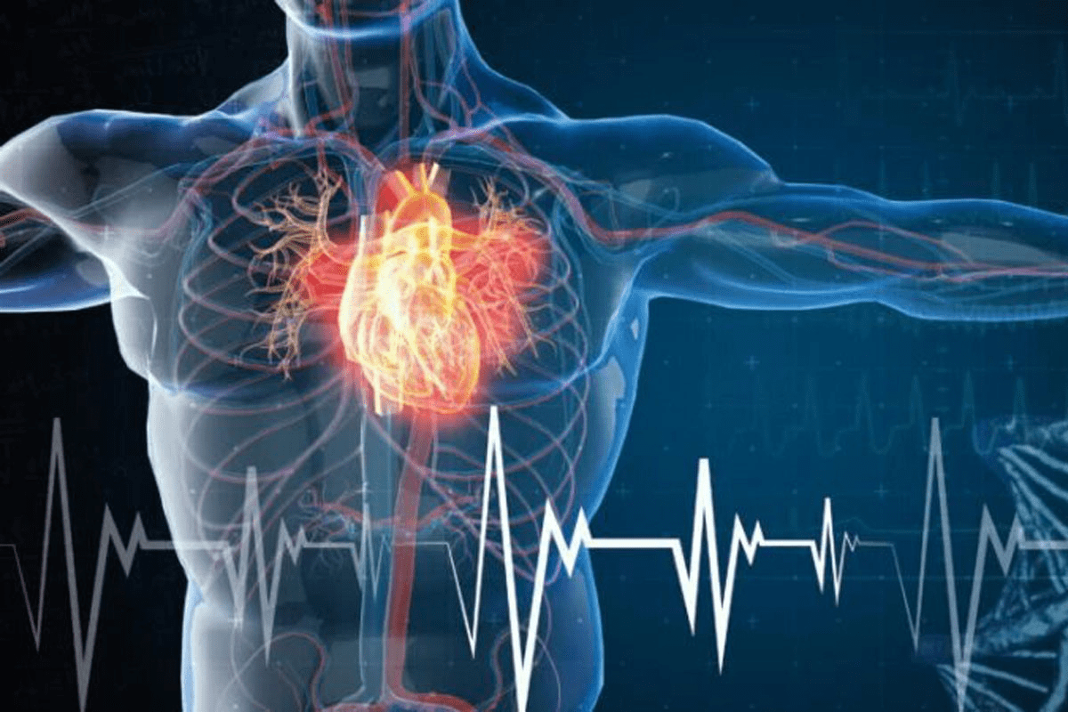 What a Stress Test Can Show