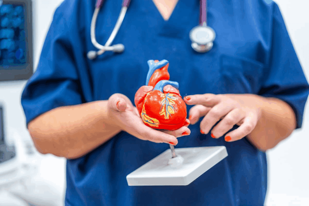 Cardiomyopathy Heart Muscle Disease 1 Cardiomyopathy Heart Muscle Disease