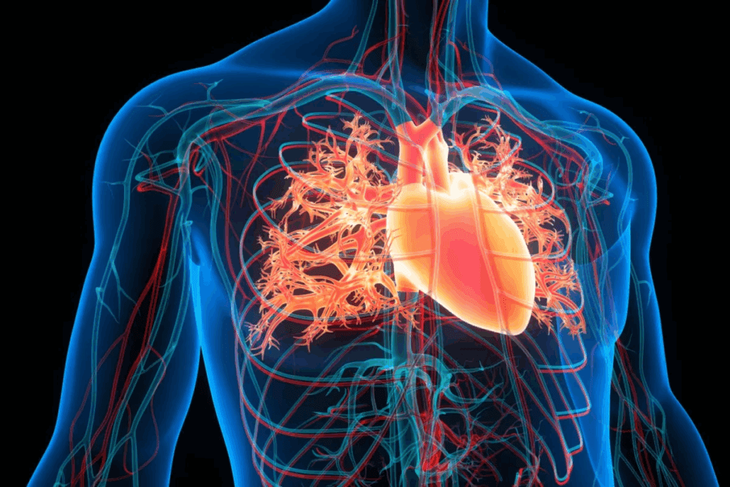 CHB Medical Abbreviation Meaning 1 CHB Medical Abbreviation Meaning