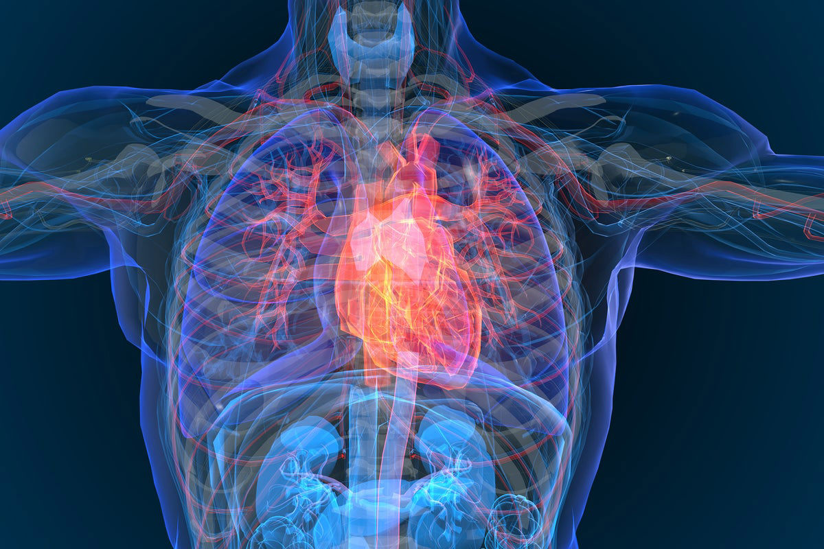 How to Prevent Coronary Heart Disease