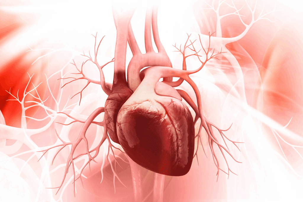 How Long to Heal After Heart Ablation?