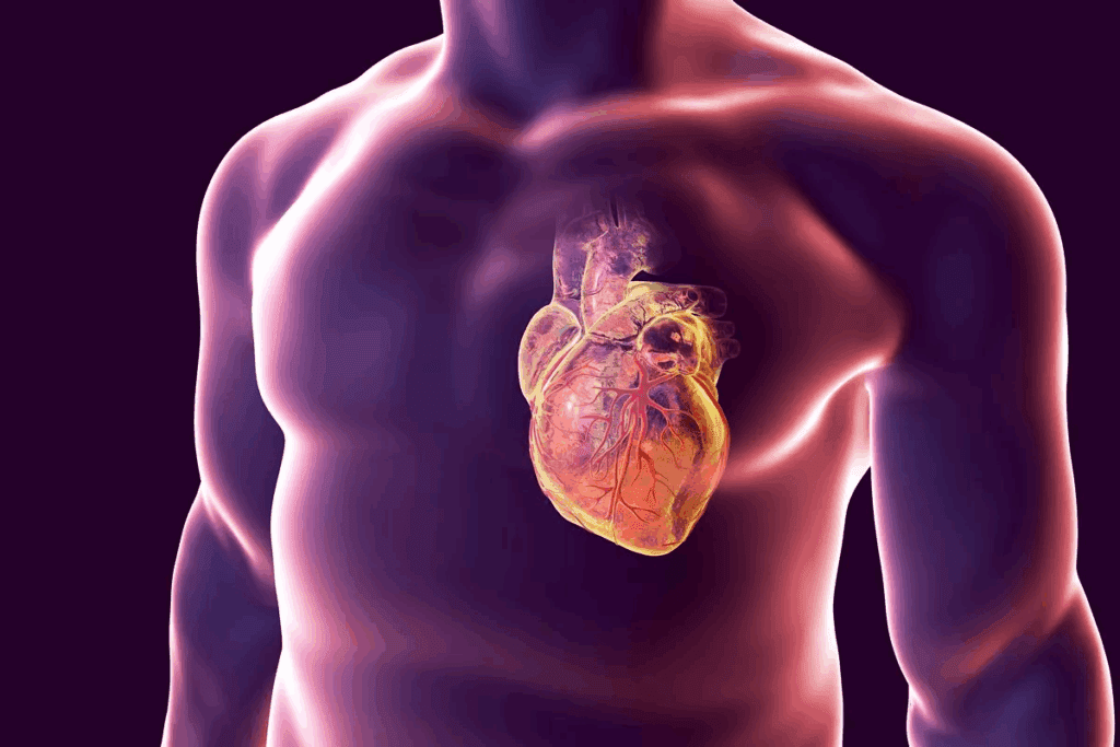 ACS Heart: Top 10 Signs & Risks