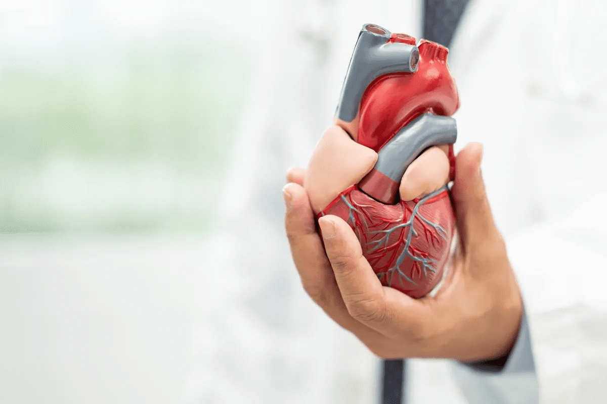 Is Arrhythmia Curable? Positive Powerful Facts Explained
