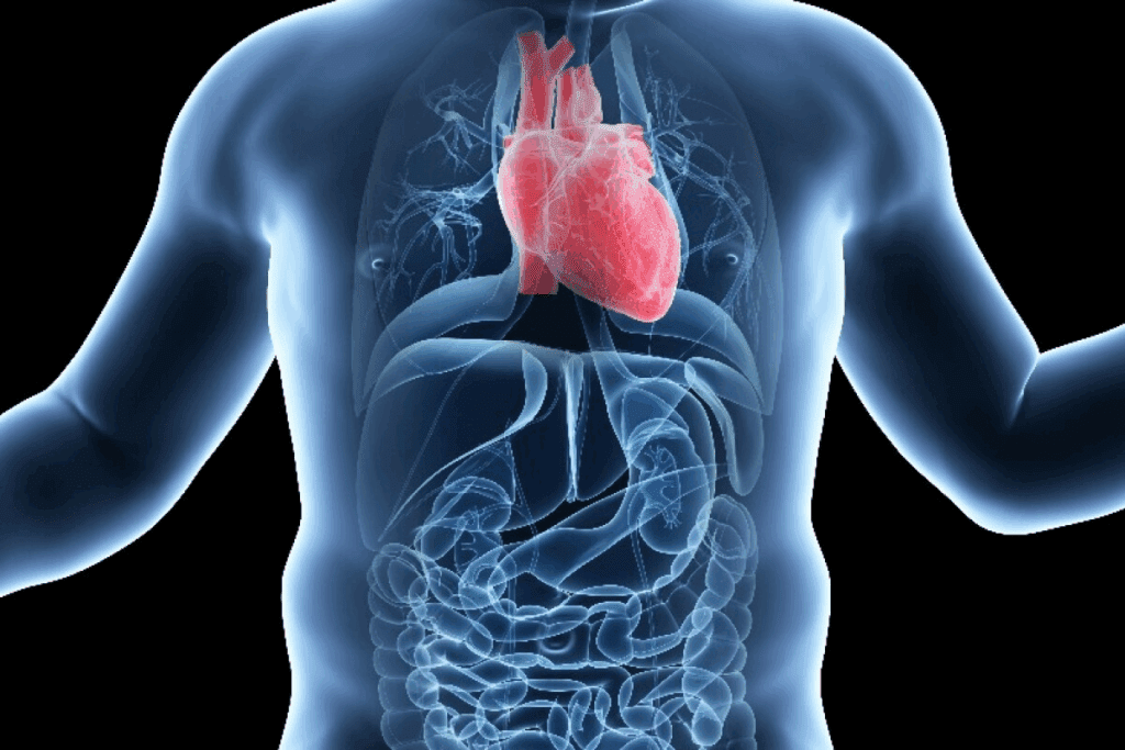 Congenital Heart Defects: 10 Key Facts