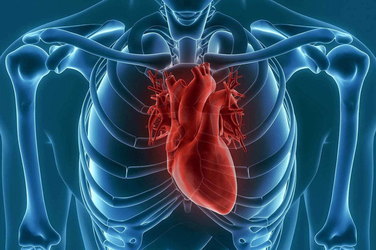 Congenital Heart Failure Explained