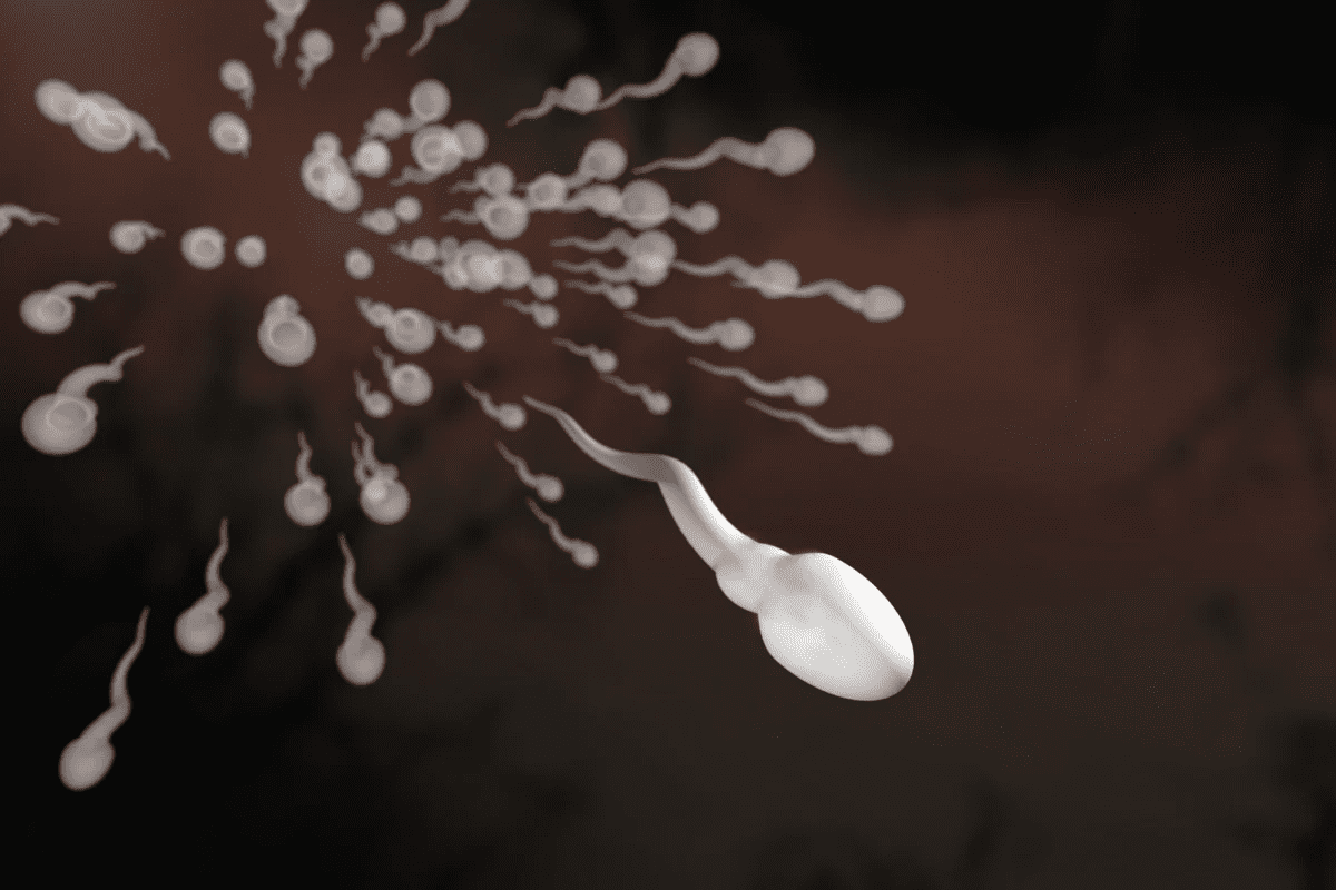 Sperm Concentration: Normal Count Range Explained