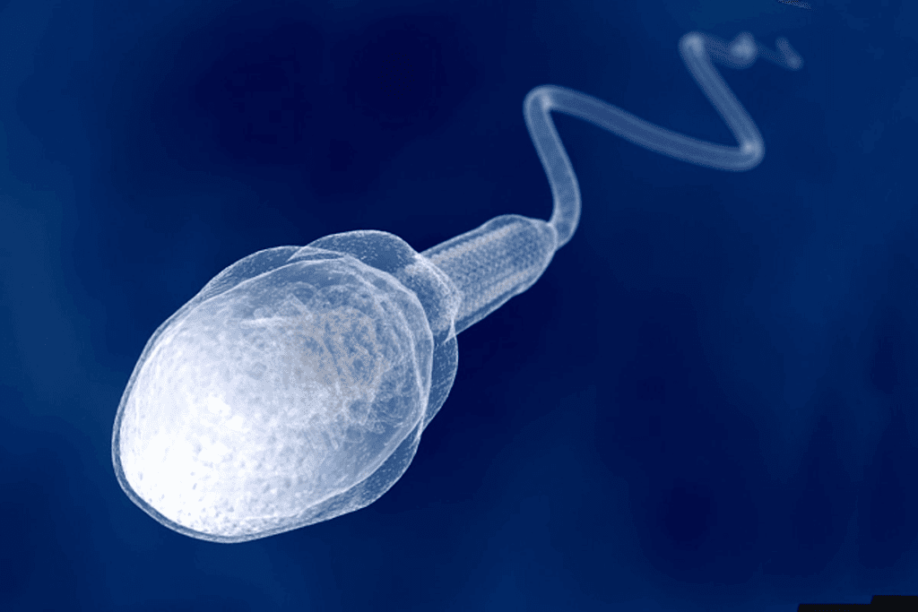 Reason for Less Sperm Count: Causes & Fixes 1 Reason for Less Sperm Count: Causes & Fixes