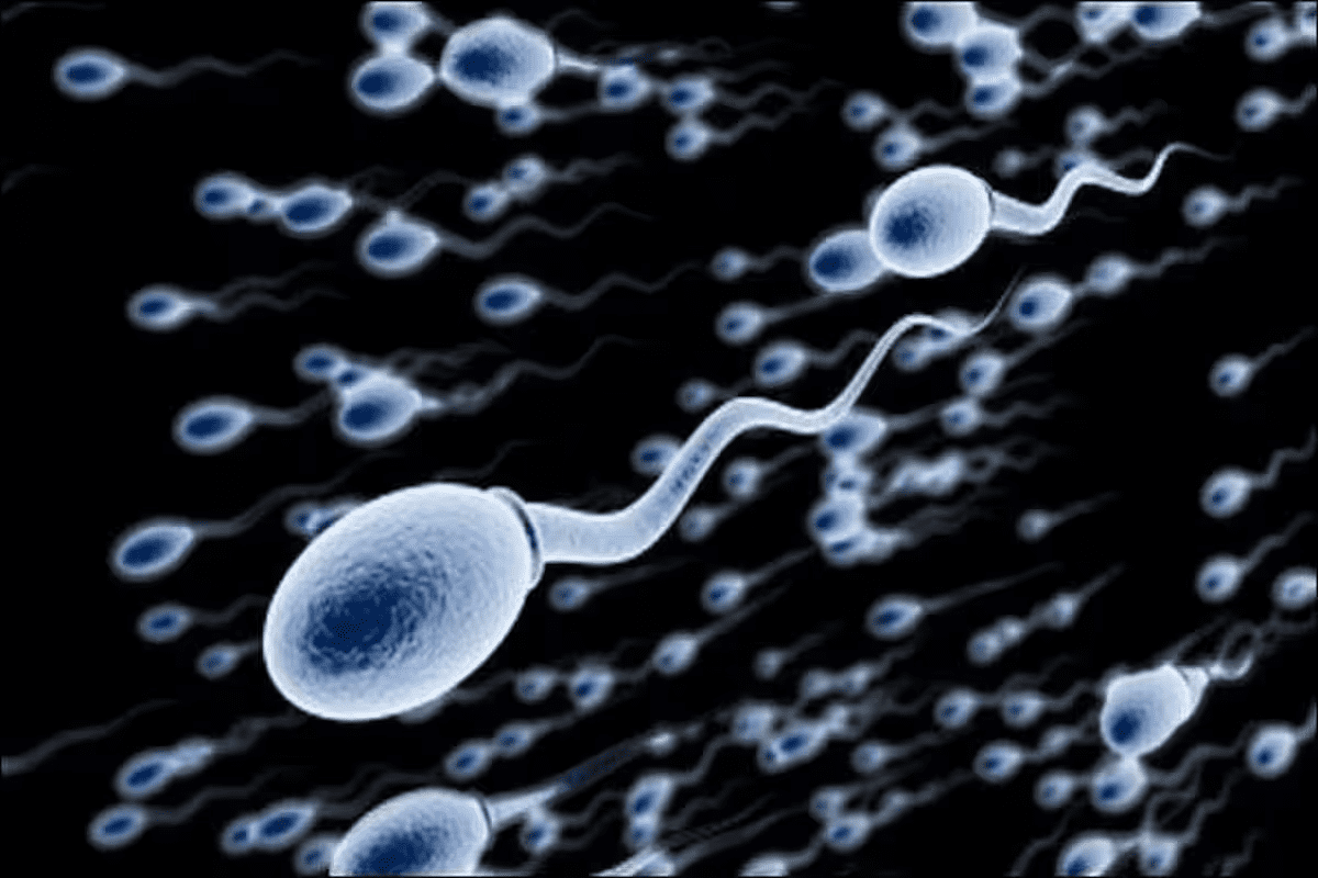 Sperm Count Decrease Causes: Explained